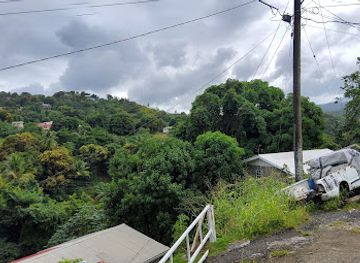 saint-lucia/marigot-bay/attraction/banane-sainte-lucie