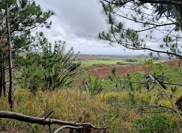 mauritius/pamplemousses/attraction/view-point-accessible-by-trail