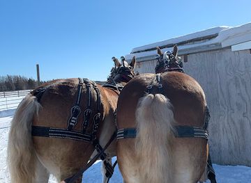 canada/charlottetown/attraction/great-northern-adventure