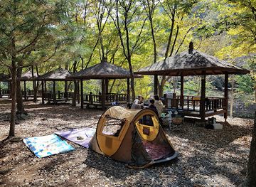 south-korea/honam-region/attraction/gosan-nature-recreation-forest