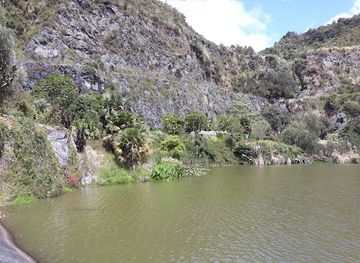 new-zealand/northland/attraction/whangarei-quarry-gardens