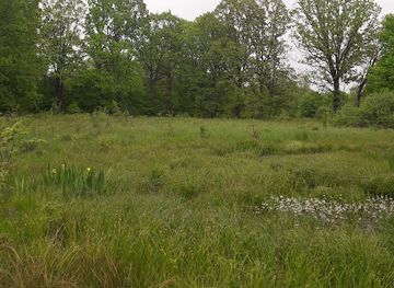 ukraine/tysovets/attraction/bilka