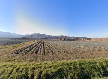 france/luberon/attraction/lavender-fields