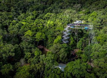 australia/cairns/palm-cove/attraction/skypark-cairns-by-aj-hackett