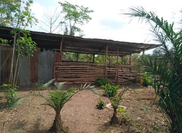 togo/mount-agou-area/attraction/marche-chateau