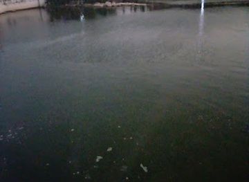 ghana/elmina/attraction/amotoe