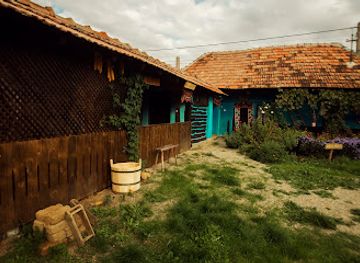 romania/salaj/attraction/casa-albastra-marin-salaj