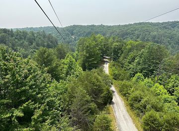 kentucky/natural-bridge-state-resort-park/attraction/red-river-gorge-ziplines