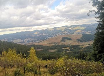 ukraine/chornohora-range/attraction/daraba-raftynh-na-cheremoshi