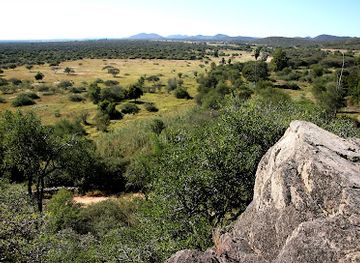 namibia/oshikoto/attraction/lion-king-rock