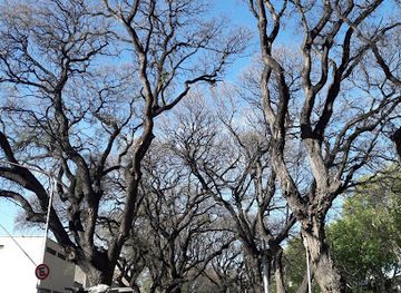 argentina/mendoza/attraction/paseo-alameda