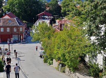 norway/sor-trondelag/attraction/trampe-bicycle-lift