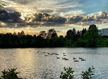 illinois/naperville/attraction/wildflower-park