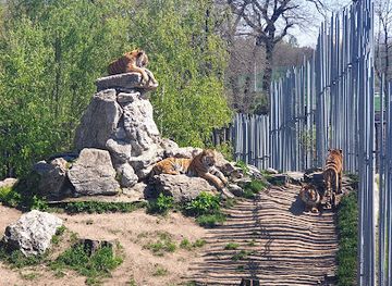 czechia/palava/attraction/hodonin-zoo