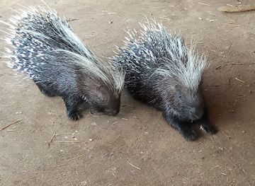 tanzania/ruaha-region/attraction/magic-site-mkwawa