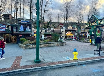 tennessee/great-smoky-mountains-national-park/attraction/gatlinburg-attractions-association