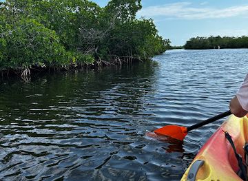 florida/key-largo/attraction/kayak-launch