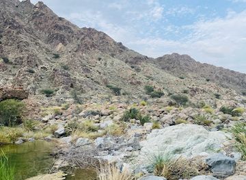 oman/ibri/attraction/wadi-jizi