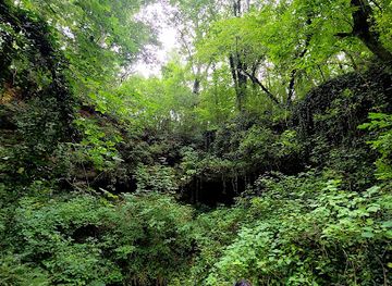 Bluespring Caverns Park