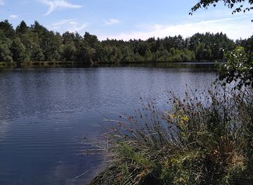 belgium/hoge-kempen-national-park/attraction/ophovenderheide-donderslag-in-duinengordel-nationaal-park-hoge-kempen