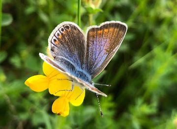 denmark/mariager-fjord/attraction/dania-kridtgrav