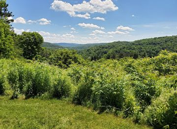 vermont/champlain-valley/attraction/lake-carmi-state-park