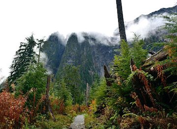 washington/mount-baker-snoqualmie-national-forest/attraction/big-four-ice-caves