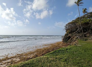 trinidad-and-tobago/penal-debe/attraction/la-savanne