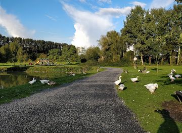 belgium/hainaut-hills/attraction/havre-castle