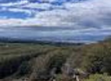 chile/punta-arenas/attraction/circuito-mountainbike-loreto