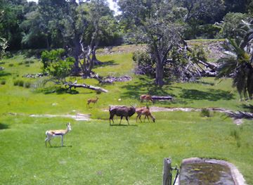 south-africa/amatola-mountains/attraction/east-london-zoo