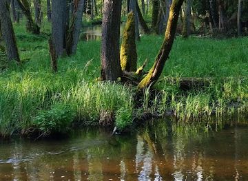 poland/mazury/attraction/marozka