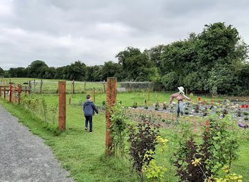 ireland/county-laois/attraction/castleview-open-farm