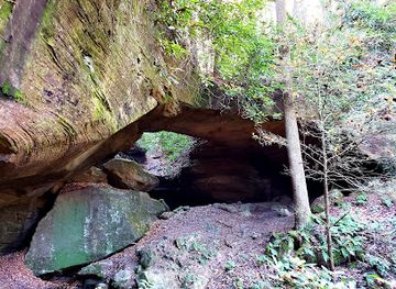 kentucky/red-river-gorge-geological-area/attraction/red-byrd-arch