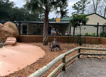 south-carolina/lowcountry/attraction/bee-city-zoo-honey-bee-farm