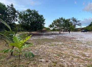 guyana/berbice-river/attraction/dakama-park