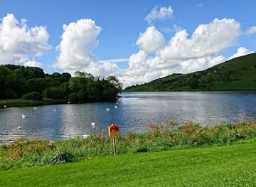 ireland/county-limerick/attraction/lough-gur-wedge-tomb