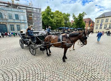 belgium/west-flanders/attraction/bruges-by-horse-drawn-carriage