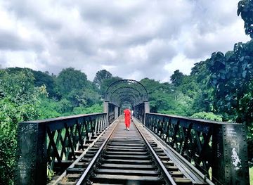 sri-lanka/kandy-district/attraction/peradeniya-bridge