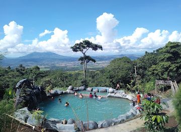 philippines/bicol-region/attraction/hibiscus-camp