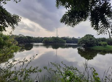 india/chennai/adyar/attraction/adyar-eco-park