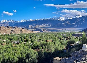 india/ladakh/attraction/nyzer-gompa-gonpa-leh-ladakh