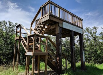 florida/cape-canaveral/attraction/ulumay-wildlife-sanctuary