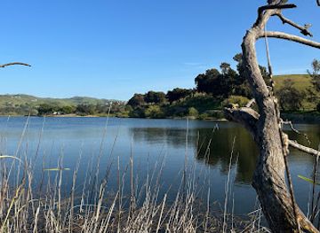 california/milpitas/attraction/sandy-wool-lake-gazebo
