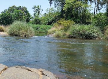 india/goa/attraction/amona-riverside-picnic-spot