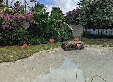 the-bahamas/andros-island/attraction/flamingo-cay