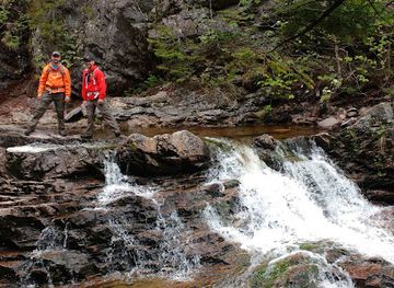 canada/fundy-national-park/attraction/walton-glen-gorge-falls