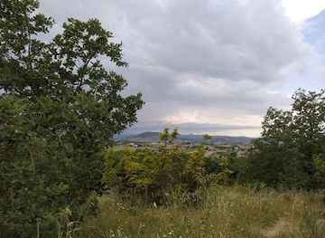 italy/molise/attraction/bosco-corundoli