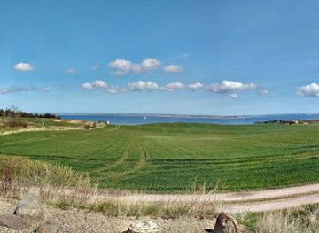 denmark/limfjord/attraction/fossil-og-molermuseet