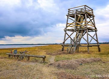 estonia/soomaa-national-park/attraction/vana-parnu-birdwatching-tower